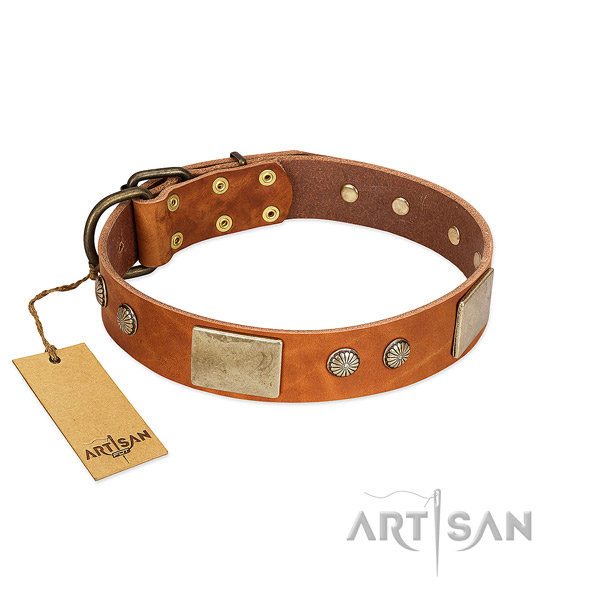 Adjustable full grain genuine leather dog collar for basic training your doggie