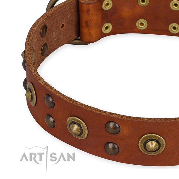 Full grain leather collar with reliable buckle for your lovely dog