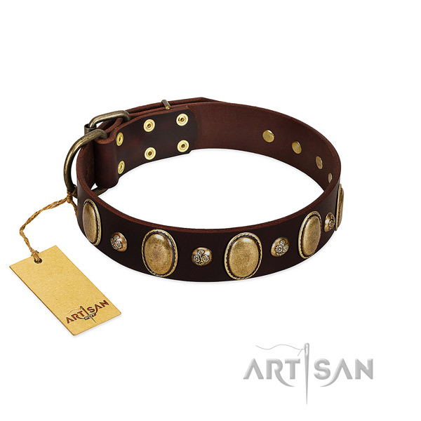 Full grain leather dog collar of top rate material with stylish design embellishments