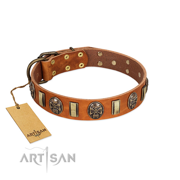 Decorated full grain genuine leather dog collar for everyday walking