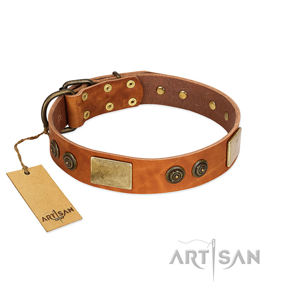 Exceptional full grain natural leather dog collar for everyday use