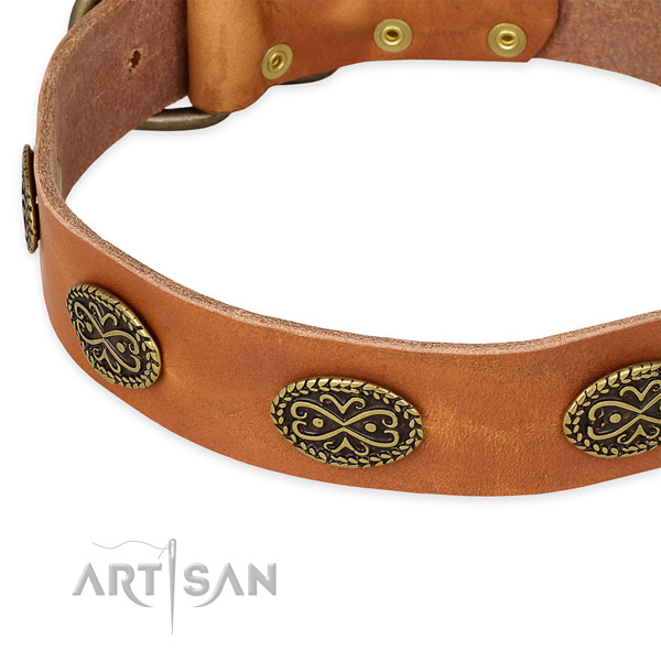 Significant full grain leather collar for your attractive four-legged friend