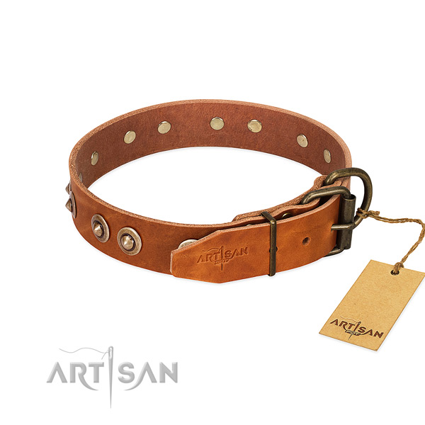 Rust-proof decorations on genuine leather dog collar for your pet