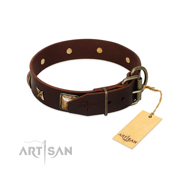 Full grain leather dog collar with corrosion proof hardware and embellishments