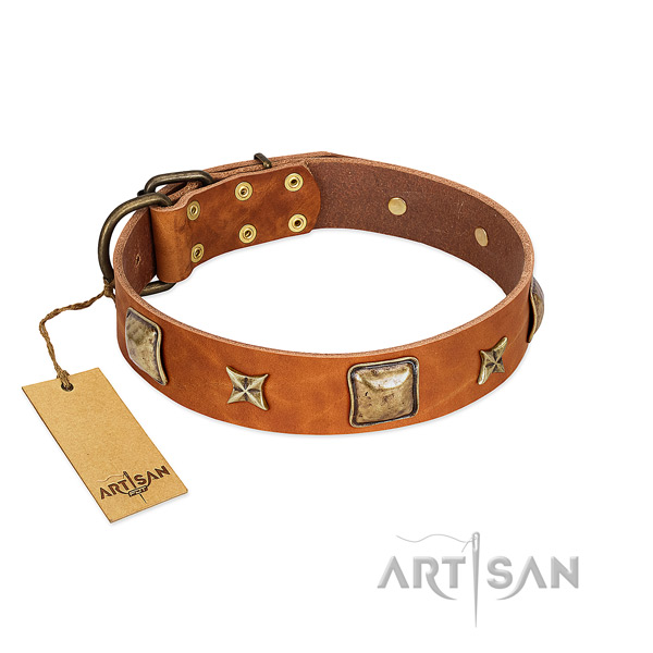 Designer full grain leather collar for your four-legged friend