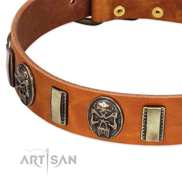 Strong decorations on full grain leather dog collar for your pet