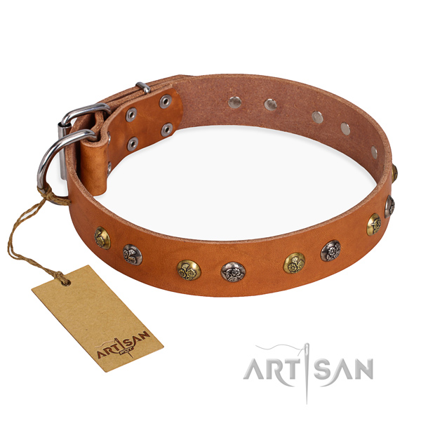 Daily use inimitable dog collar with strong fittings