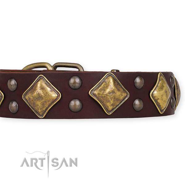 Genuine leather dog collar with impressive corrosion proof adornments