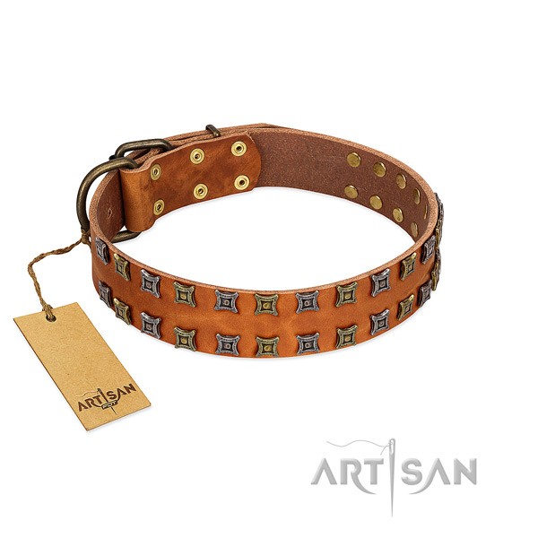 Strong natural leather dog collar with adornments for your pet