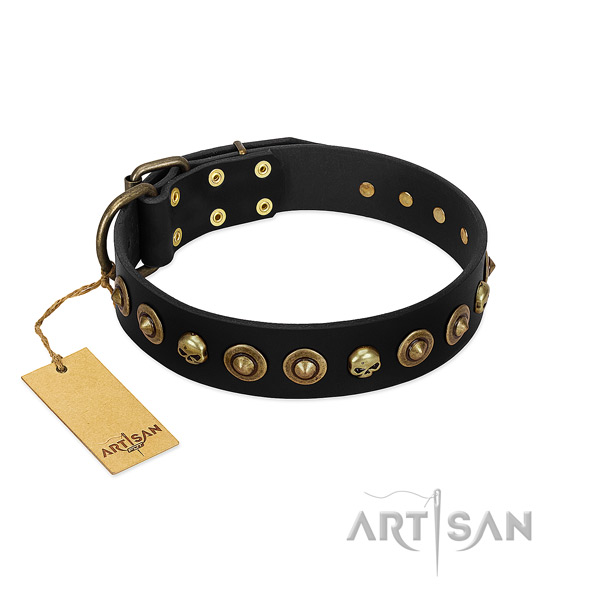 Genuine leather collar with incredible adornments for your dog