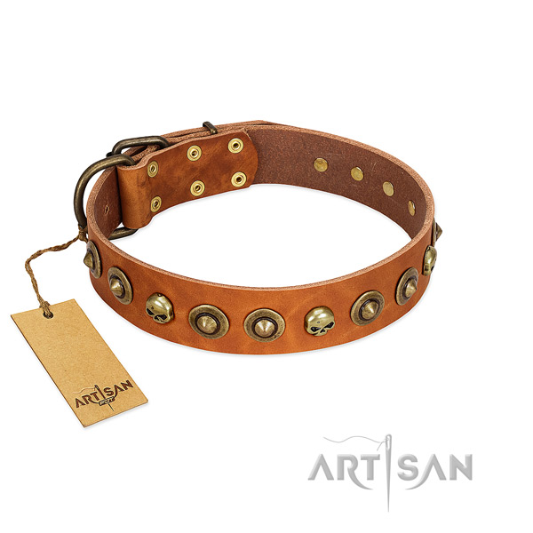 Full grain leather collar with amazing embellishments for your canine