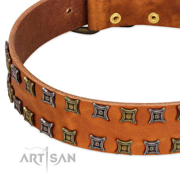 Top notch full grain natural leather dog collar for your impressive pet