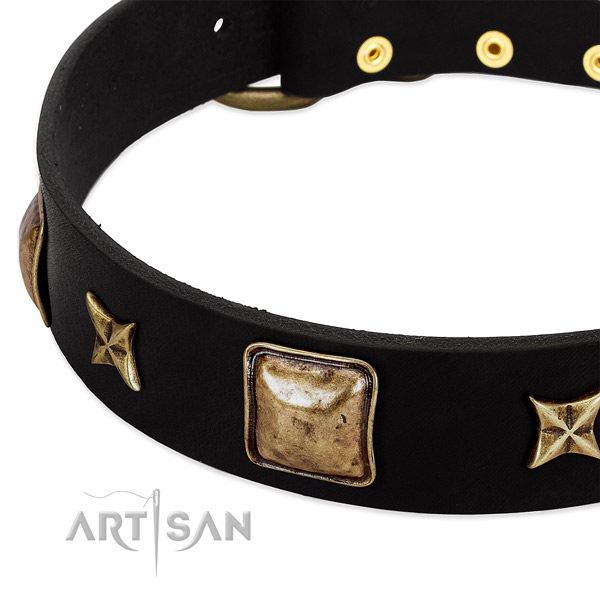 Leather dog collar with top notch adornments