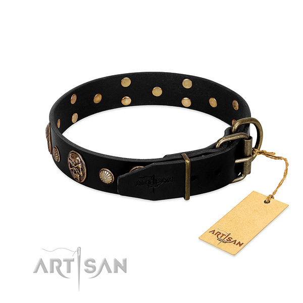 Rust-proof buckle on genuine leather collar for everyday walking your pet
