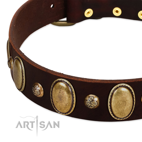 Leather dog collar with amazing decorations
