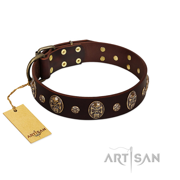 Trendy leather collar for your pet