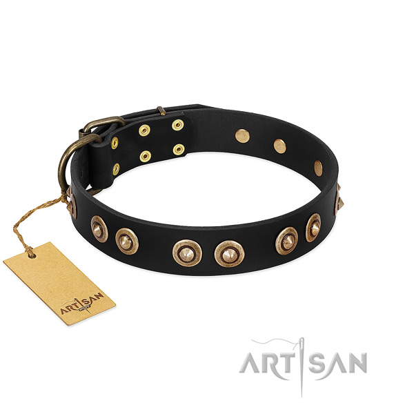 Adorned genuine leather collar for your four-legged friend