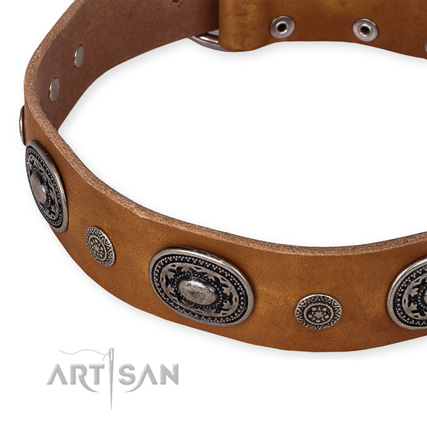 Durable full grain natural leather dog collar created for your handsome dog