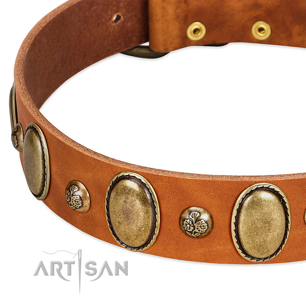Genuine leather dog collar with fashionable adornments