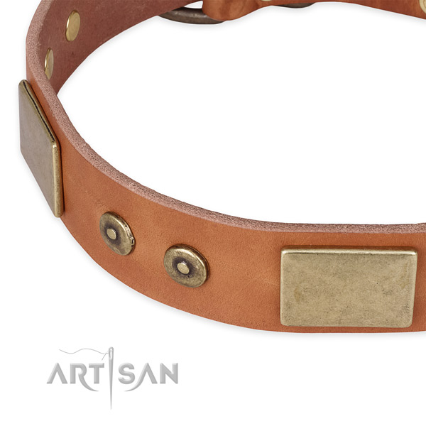 Durable D-ring on genuine leather dog collar for your doggie
