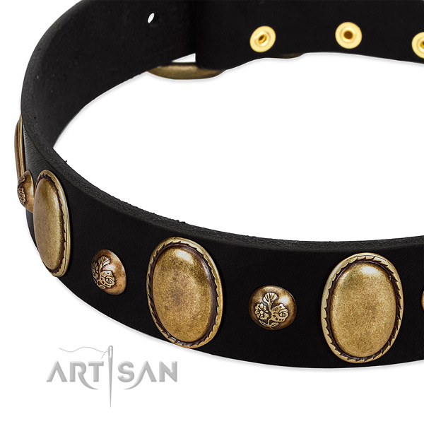 Full grain leather dog collar with incredible studs