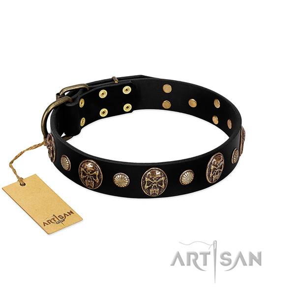 Full grain leather dog collar of flexible material with unique decorations