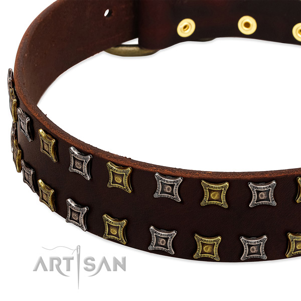 Top rate natural leather dog collar for your beautiful canine