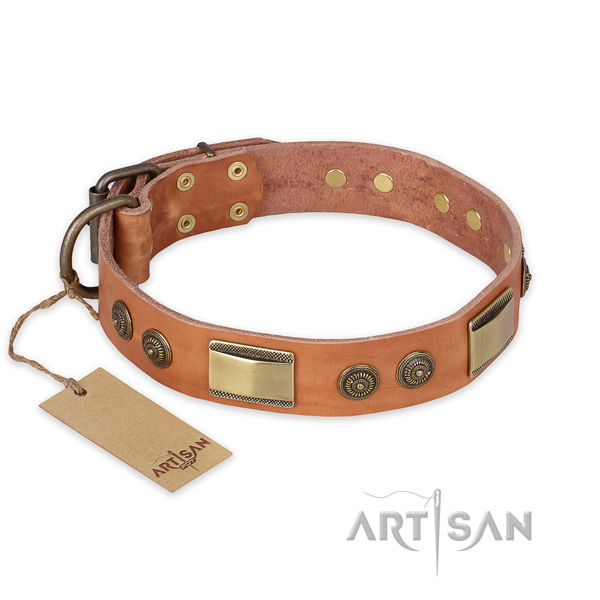 Stylish design leather dog collar for walking