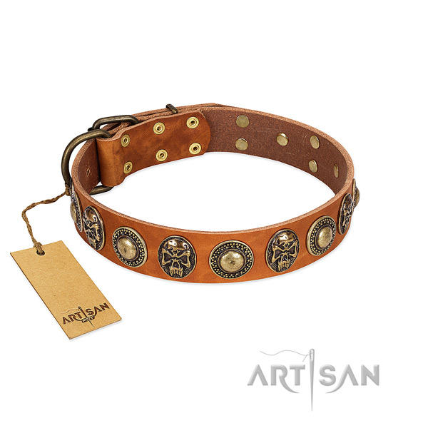 Easy wearing leather dog collar for daily walking your dog