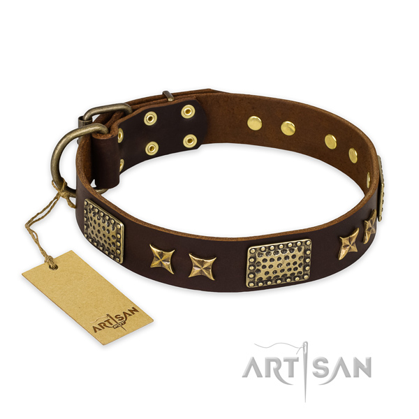 Trendy full grain leather dog collar with durable fittings