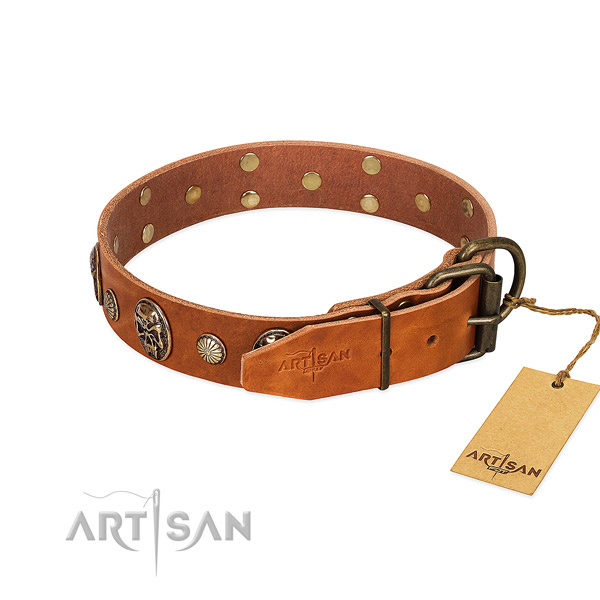 Strong traditional buckle on full grain leather collar for basic training your four-legged friend