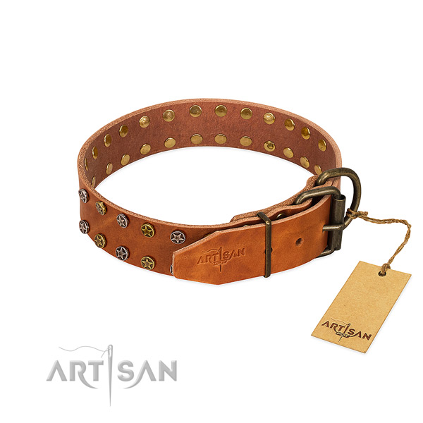 Stylish walking genuine leather dog collar with impressive studs