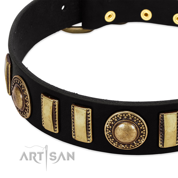 Quality leather dog collar with strong fittings