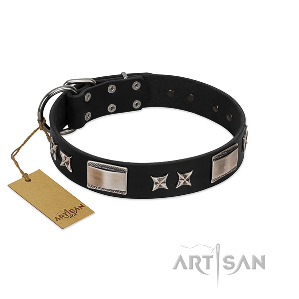 Designer dog collar of full grain leather