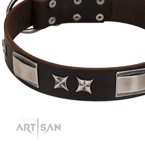 Perfect fit collar of genuine leather for your attractive dog