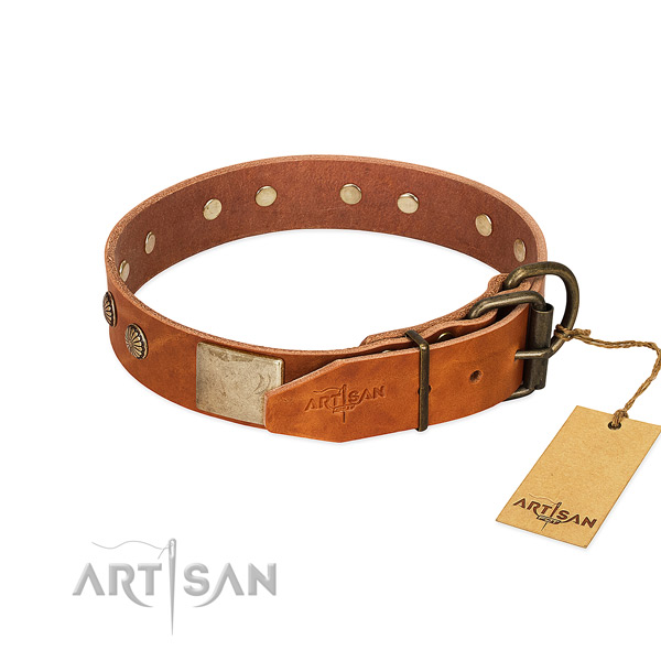 Rust-proof hardware on daily use dog collar