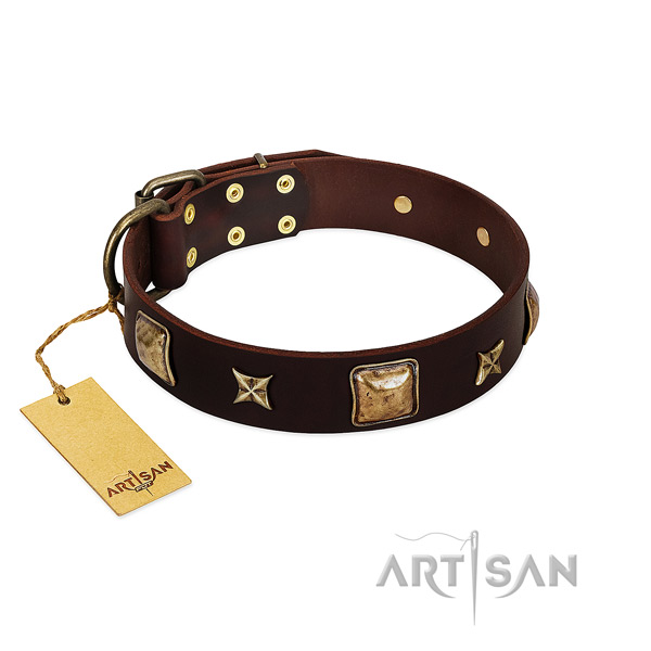 Studded full grain leather collar for your canine