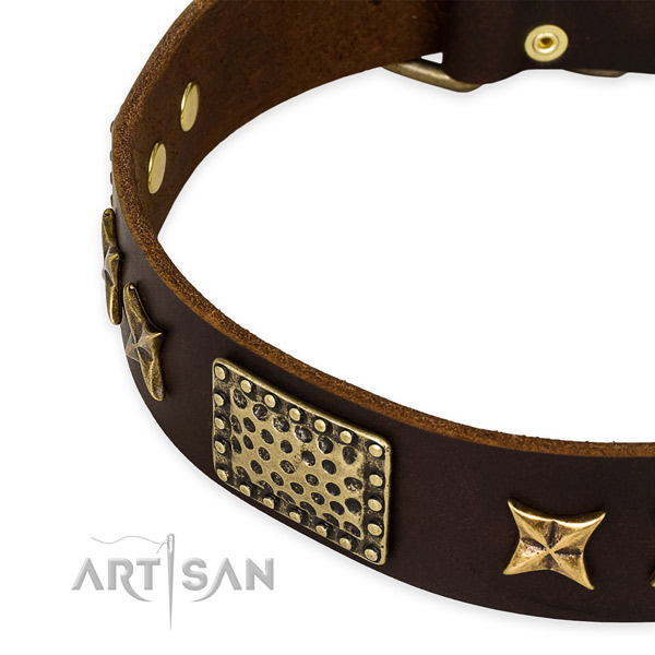 Full grain leather collar with corrosion proof traditional buckle for your beautiful pet
