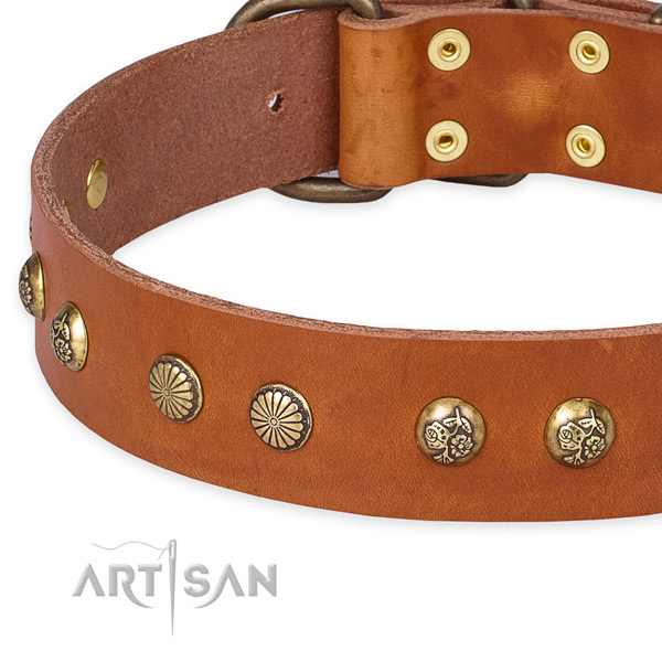 Leather collar with corrosion proof D-ring for your handsome pet