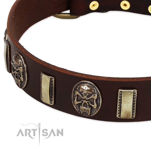 Rust resistant buckle on natural genuine leather dog collar for your dog
