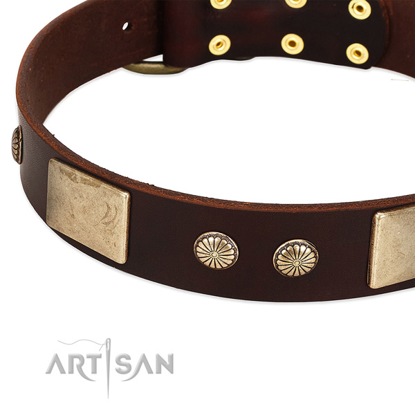 Corrosion resistant studs on full grain leather dog collar for your four-legged friend