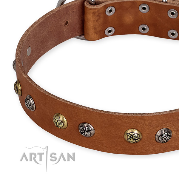 Full grain genuine leather dog collar with unique durable studs