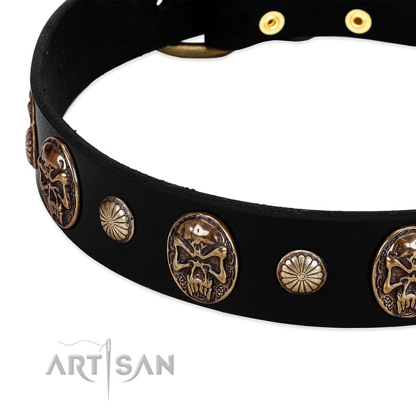 Full grain genuine leather dog collar with extraordinary studs