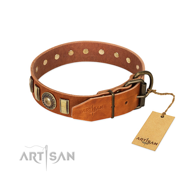 Adorned natural leather dog collar with durable fittings
