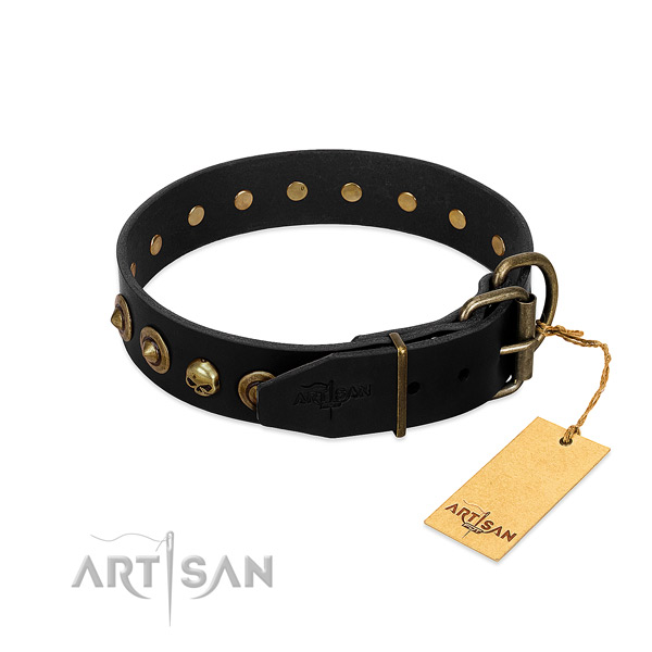 Full grain leather collar with unusual embellishments for your pet