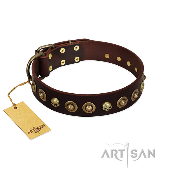 Full grain leather collar with exquisite adornments for your doggie