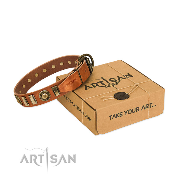 Flexible natural leather dog collar with strong fittings
