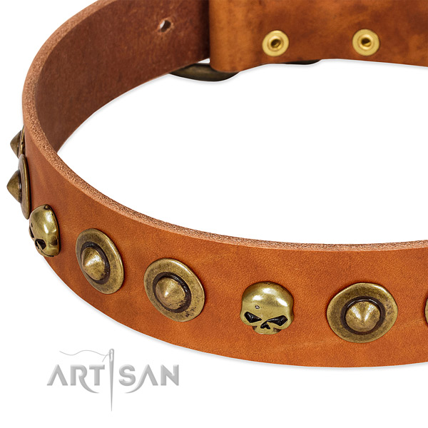 Top notch adornments on full grain natural leather collar for your pet