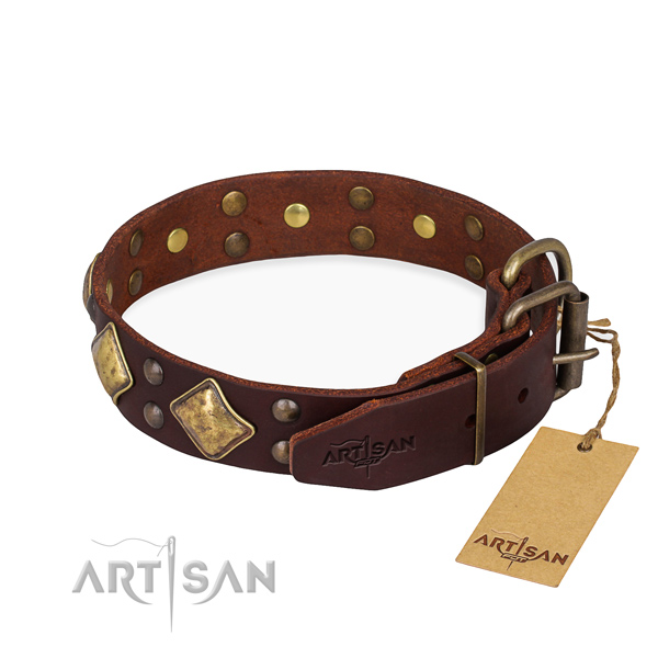 Leather dog collar with stunning corrosion resistant studs