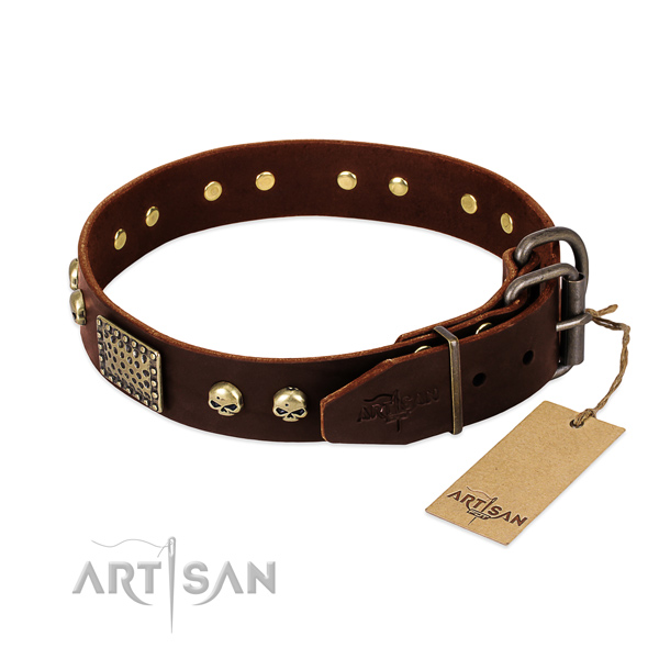 Rust resistant adornments on handy use dog collar